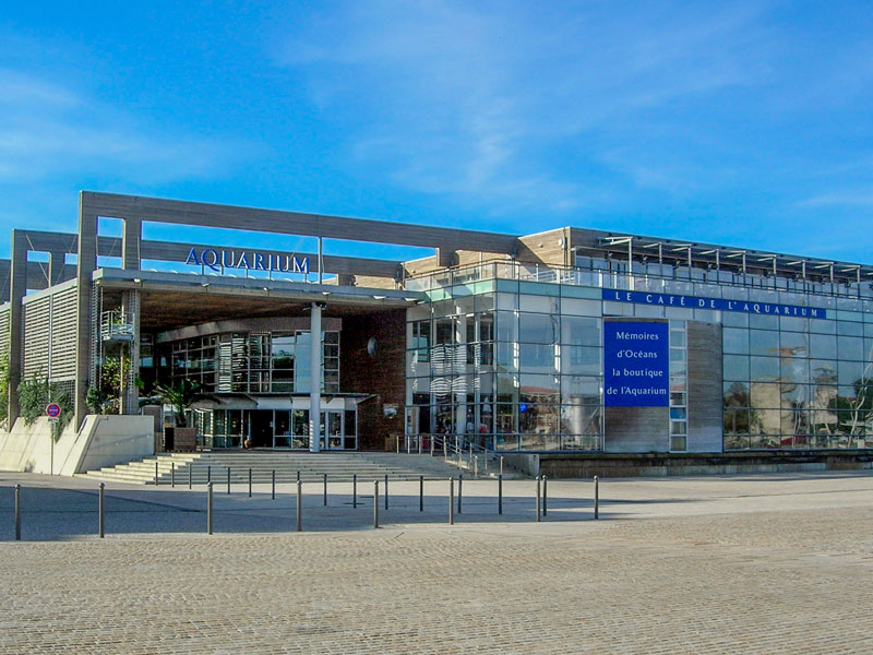 Visiting the La Rochelle Aquarium with the Kids