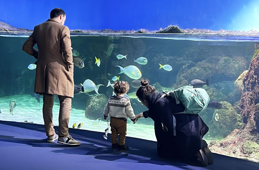 Visitors to the La Rochelle Aquarium